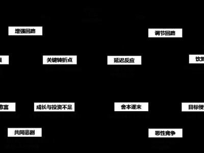 破解組織復(fù)雜問(wèn)題的十大系統(tǒng)思考模式,思考魔方，成長(zhǎng)引擎